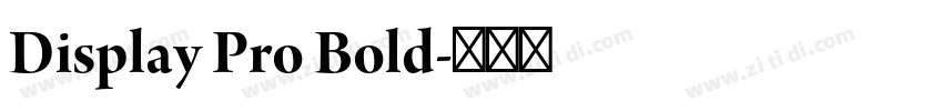 Display Pro Bold字体转换